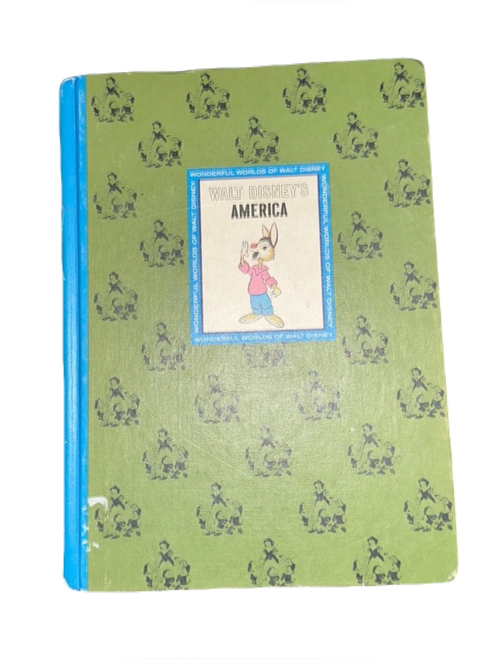 Walt Disneys America Book